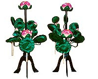 蓮(1対)画像
